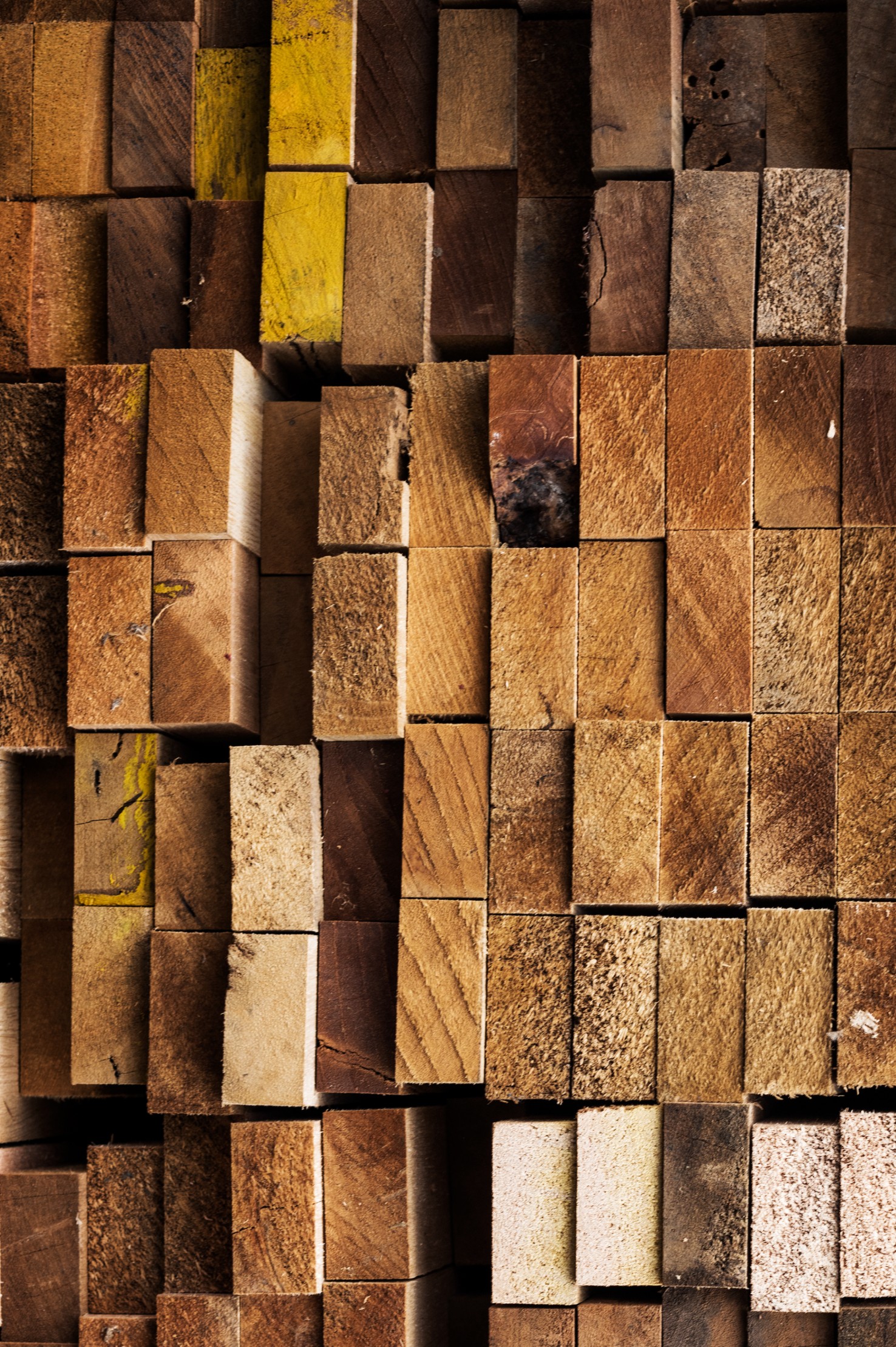tas de bois de plusieurs origines